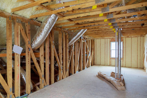 Best Home Insulation Services  in Alexandria, LA