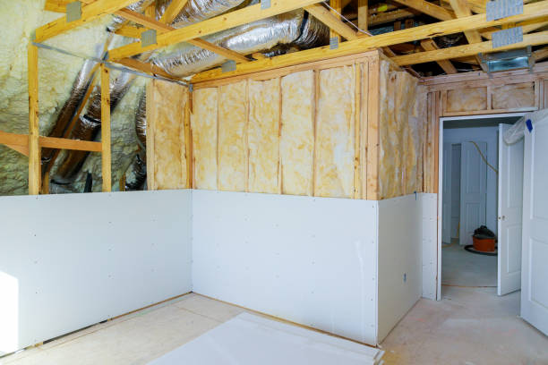 Best Insulation Removal  in Alexandria, LA