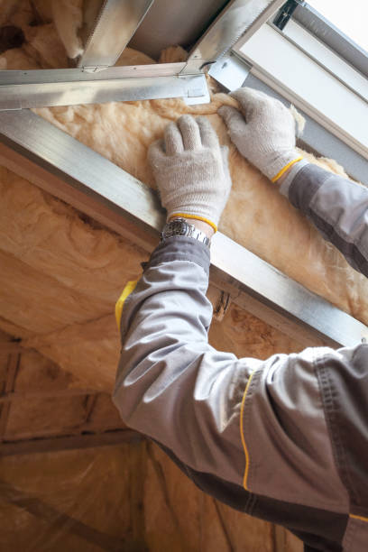 Best Energy-efficient Insulation  in Alexandria, LA