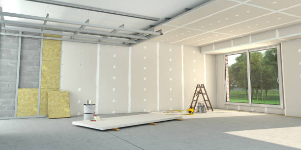 Best Blown-in Insulation  in Alexandria, LA