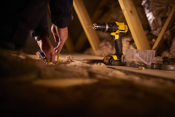 Best Insulation Replacement Services  in Alexandria, LA